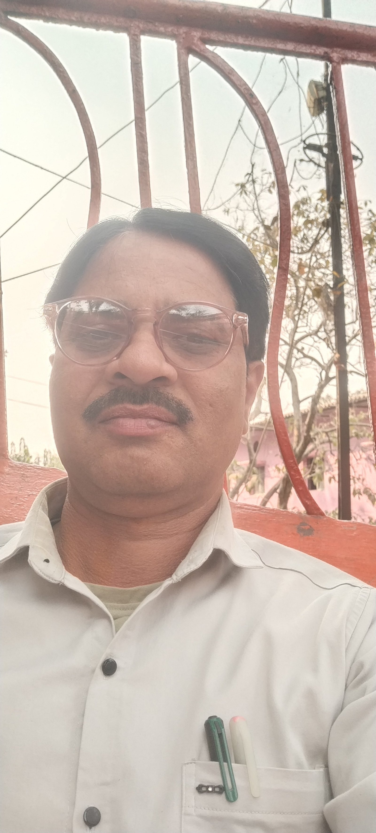 हमर पहुना